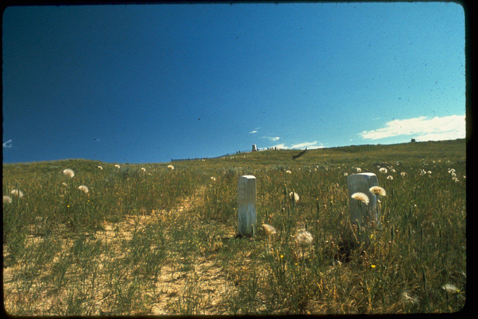 Marble markers on the slope below Last Stand Hill, where Custer's command was destroyed on June 25, 1876