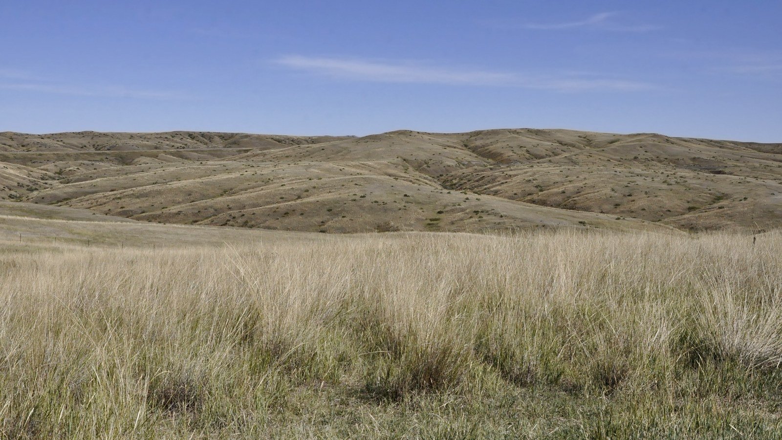 Calhoun Hill on the Little Bighorn Battlefield, where Lieutenant James Calhoun and Company L were overrun on June 25, 18