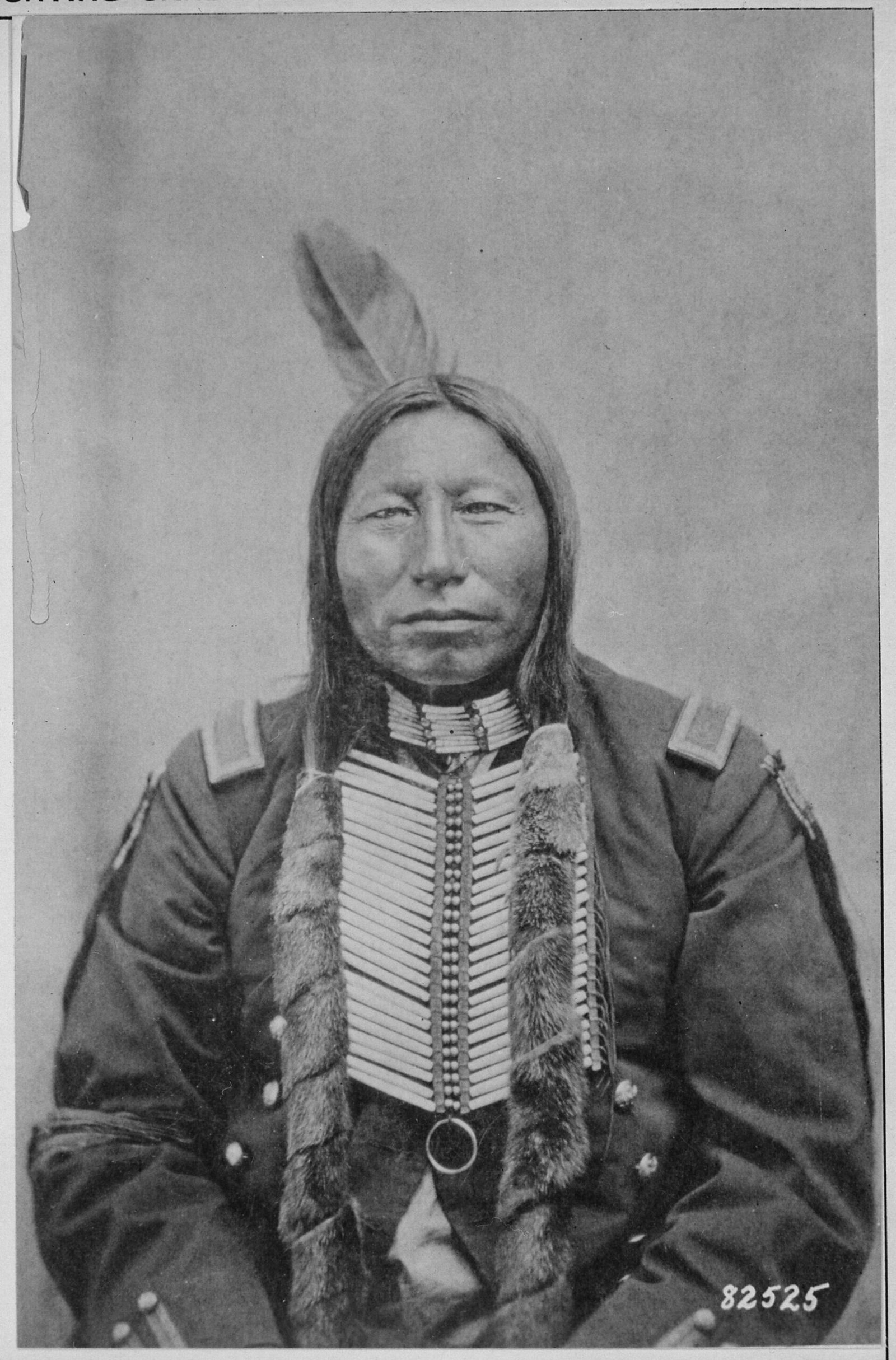 Crow King, Hunkpapa Lakota war chief, photographed in 1881
