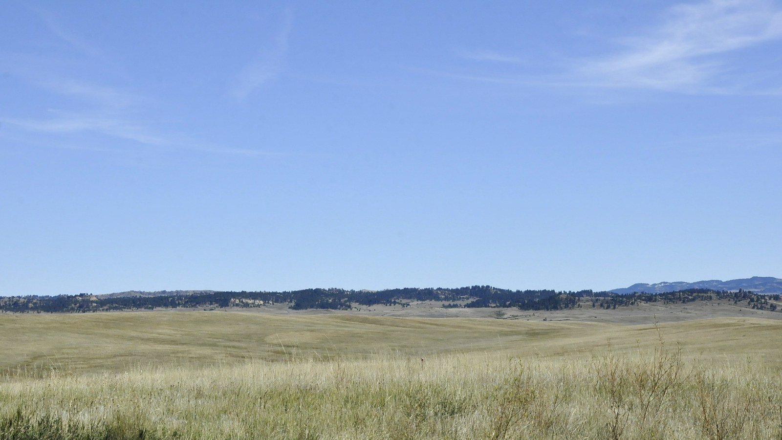 The high ground near the Crow's Nest, where the scouts first spotted the huge Lakota and Cheyenne camp on the morning of