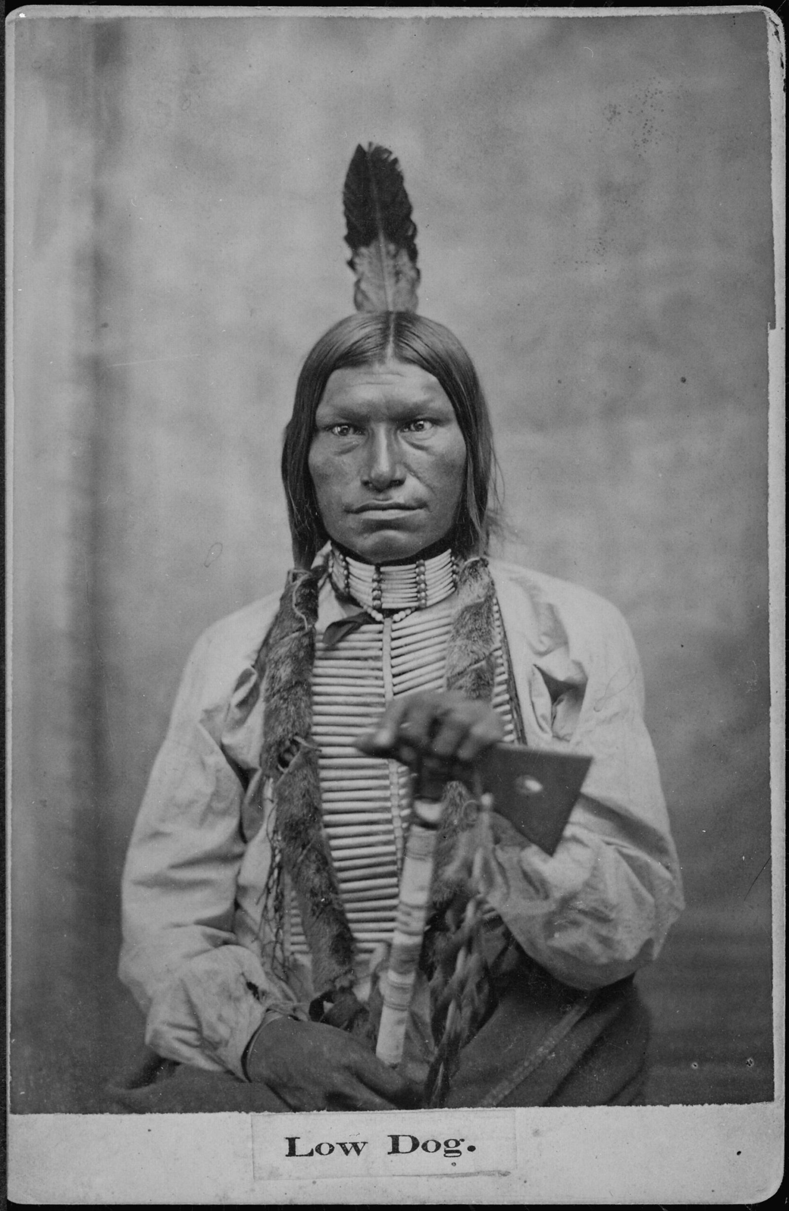 Low Dog, Oglala Lakota war chief
