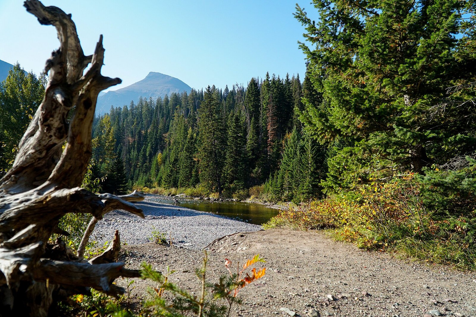 Running Eagle Falls in Glacier National Park, Montana, named for the Blackfeet woman war leader Pi'tamaka, Running Eagle