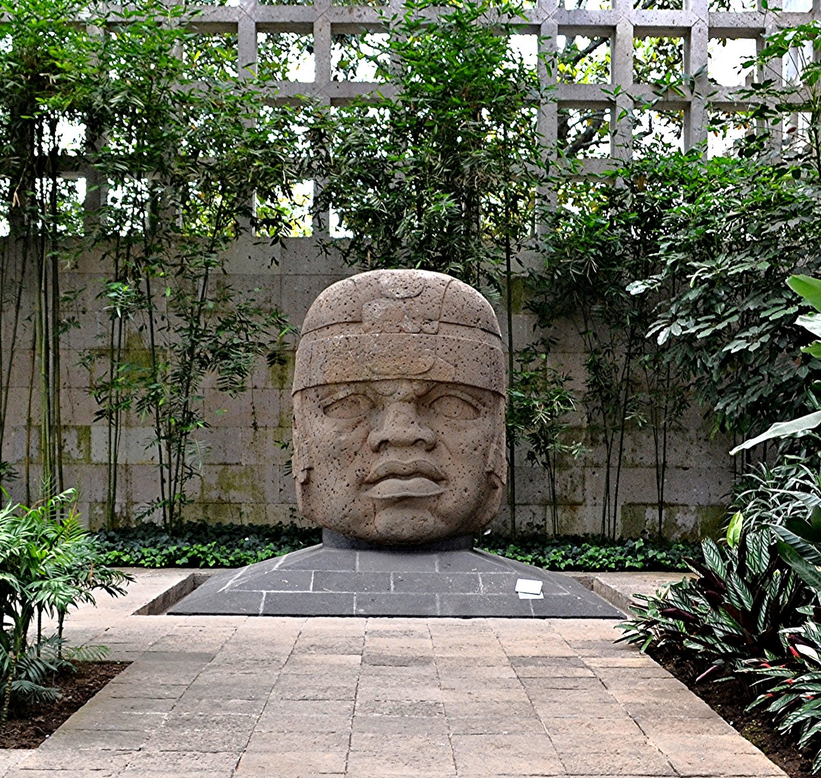 Were The Olmec Heads African? What The Evidence Actually Shows